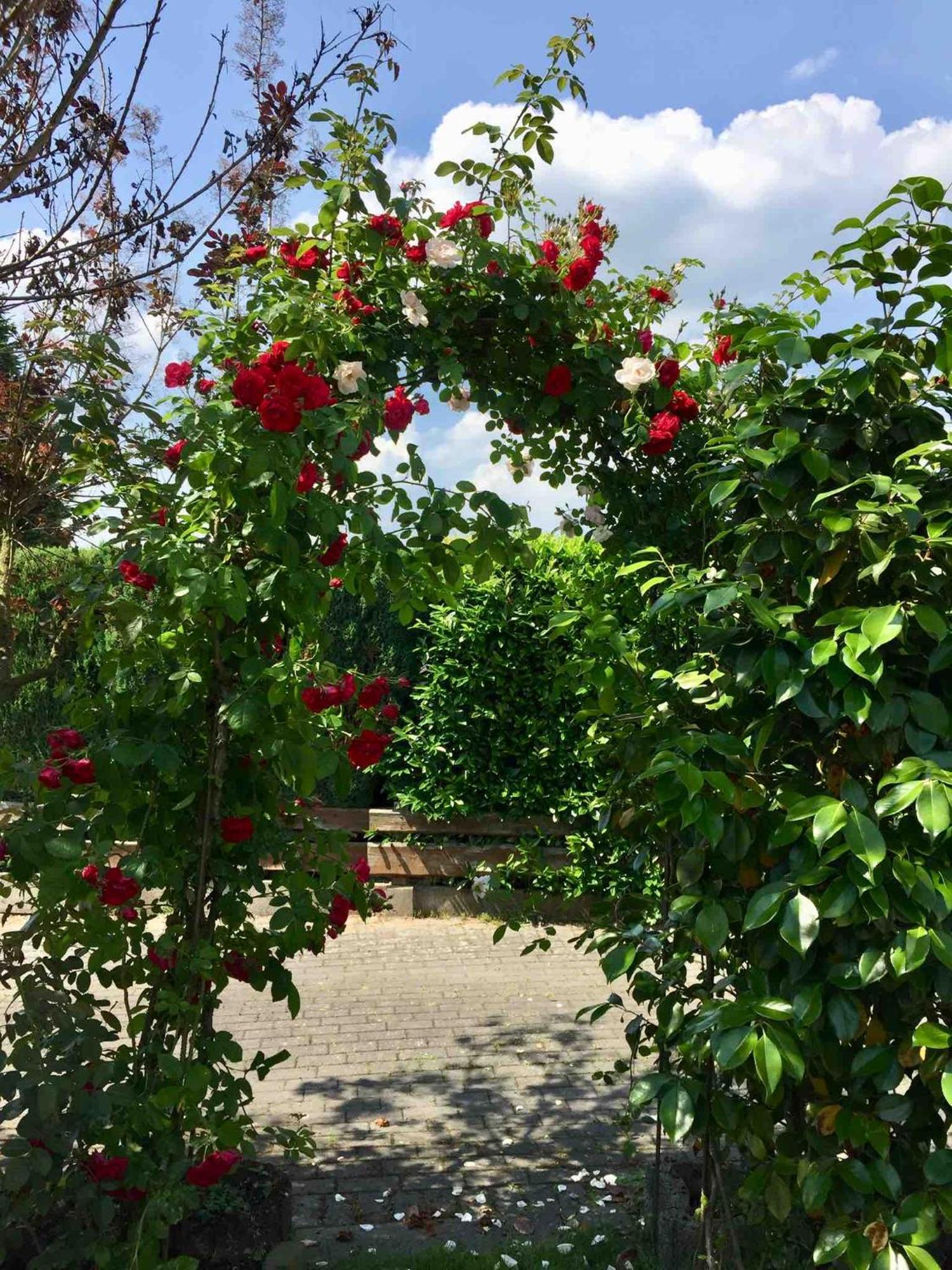 Apartamento Ferienhaus Windmuehlenweg Mit Garten Spenge Exterior foto